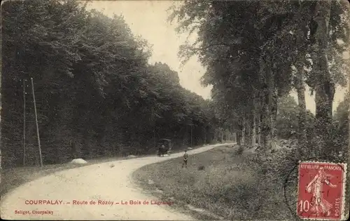 Ak Courpalay Seine et Marne, Route de Rozoy, Le Bois de Lagrange