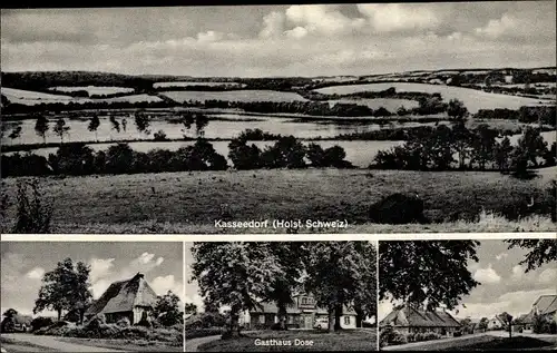 Ak Kasseedorf in Ostholstein, Gasthaus Dose, Panorama