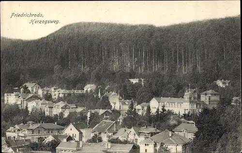 Ak Friedrichroda im Thüringer Wald, Herzogsweg, Stadtpanorama mit Wald