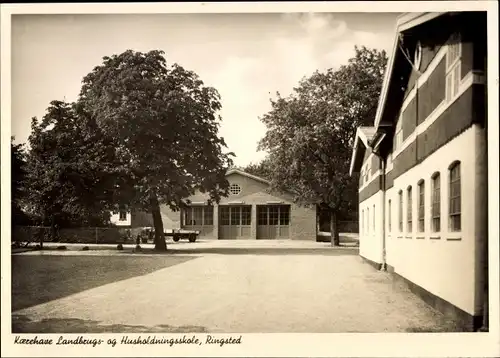 Ak Ringsted Dänemark, Koerehave Landbrugs og Husholdningsskole, Avlsgaard og Maskinhal