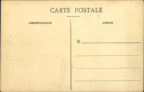 Ak Les Pyrenées, Chien de Montagne, Pyrenäenberghund, stehend