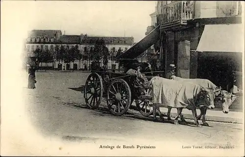 Ak Attelage de Boeufs Pyreneens