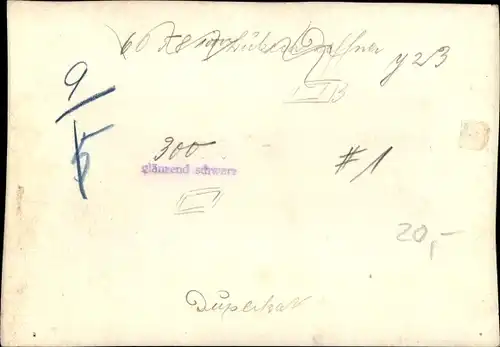 Foto Demmin in Vorpommern, Wasserpartie, Gesamtansicht, Bartholomäikirche