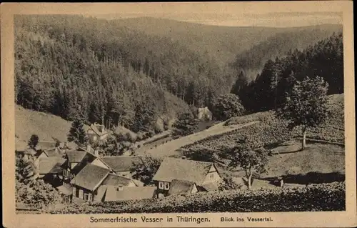 Ak Vesser Suhl in Thüringen, Vessertal, Waldpartie