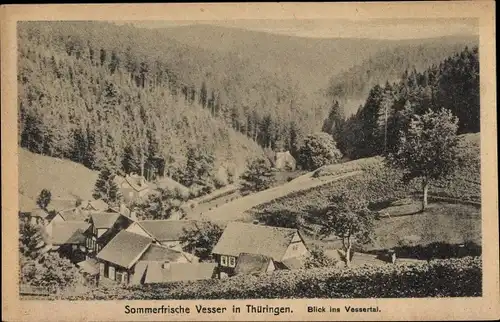 Ak Vesser Suhl in Thüringen, Vessertal, Waldpartie