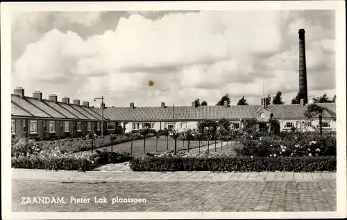 Ak Zaandam Zaanstad Nordholland, Pieter Lak plantsoen