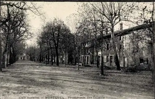 Ak Montluel Ain, Promenade des Tilleuls