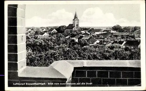 Ak Biesenthal Barnim, Blick vom Aussichtsturm auf die Stadt