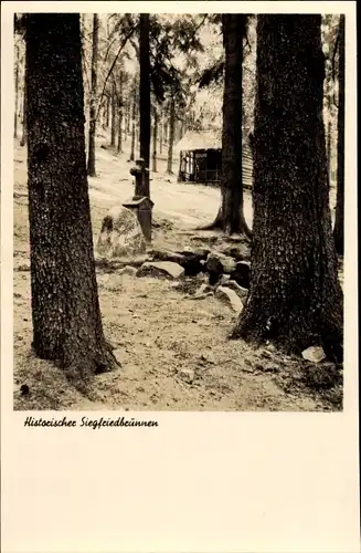 Ak Grasellenbach im Odenwald, Historischer Siegfriedbrunnen, Waldpartie