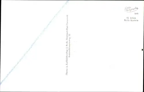 Ak Steinegg Neuhausen auf den Fildern, Teilansicht, Wegepartie