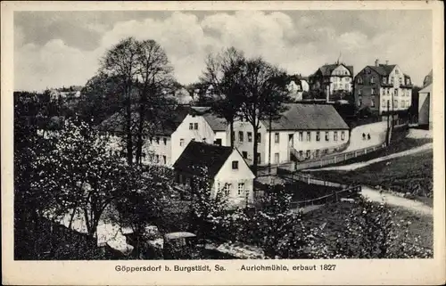 Ak Göppersdorf Burgstädt in Sachsen, Aurichmühle