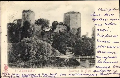 Ak Niort Deux Sèvres, Le Chateau Salbart