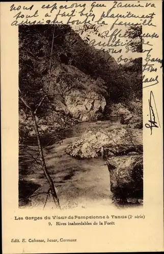 Ak Tanus Tarn, Les Gorges du Viaur de Pampelonne a Tanus, Rives inabordables de la Foret