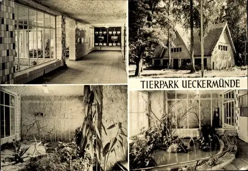 Ak Ueckermünde in Mecklenburg Vorpommern, Tierpark, Vivarium