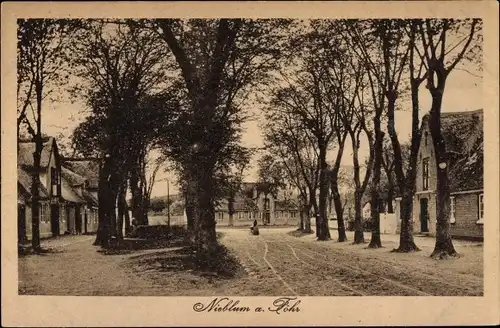 Ak Nieblum Insel Föhr, Blick in die Dorfstrasse, Allee