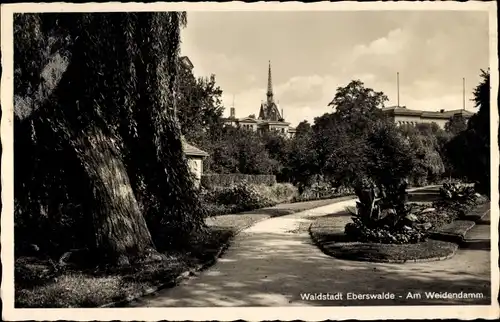 Ak Eberswalde im Kreis Barnim, Partie am Weidendamm mit Blick auf den Kirchturm