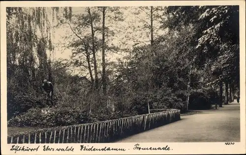 Ak Eberswalde Kreis Barnim, Weidendamm