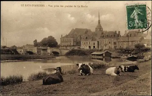 Ak Le Lion d'Angers Maine et Loire, Vue prise des prairies de La Roche