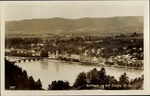 Ak Aschach an der Donau Oberösterreich, Stadtpanorama