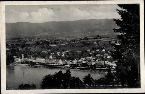 Ak Markt Aschach an der Donau Oberösterreich, Panorama