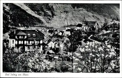 Ak Bad Salzig Boppard am Rhein, Blick auf den Ort