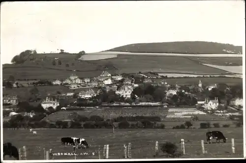 Ak Wroxall Isle of Wight England, General View, Cows