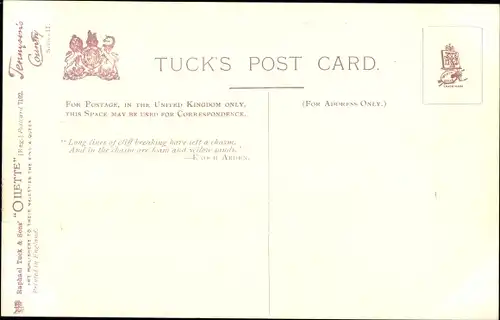 Künstler Ak Richardson, Freshwater Isle of Wight England, Cliffs Tennyson's Beacon, Tuck 7102