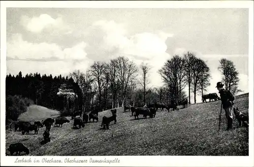 Ak Lerbach Osterode am Harz, Oberharzer Damenkapelle