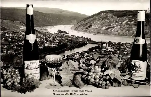 Ak Bingen am Rhein, Panorama vom Ort, Weinflaschen, Weintrauben