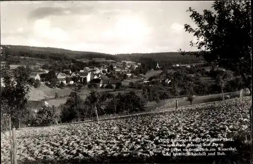 Ak Breitenbrunn Lützelbach im Odenwald Hessen, Blick auf den Ort