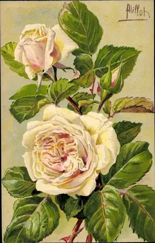 Künstler Ak Rose Gloire de Dijon