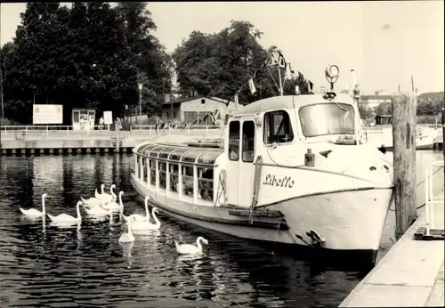 Ak Weiße Flotte Potsdam, MS Libelle, Fahrgastschiff, Schwäne