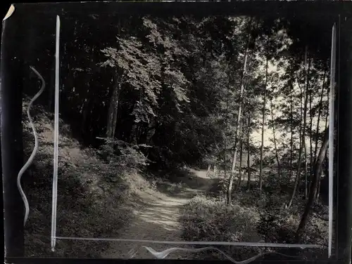 Foto Neubrandenburg in Mecklenburg, Waldweg