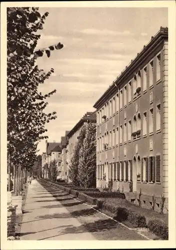 Ak Berlin Spandau Siemensstadt, Siedlung