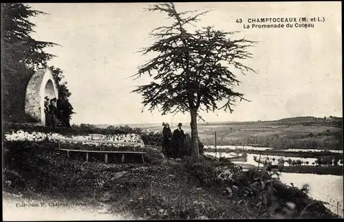 Ak Champtoceaux Maine-et-Loire, La Promenade du Coteau