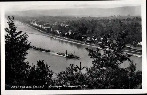 Ak Aschach Donau Oberösterreich, Panorama