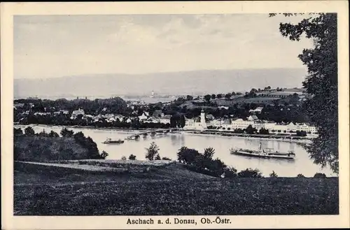 Ak Aschach Donau Oberösterreich, Blick auf den Ort