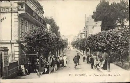 Ak Cabourg Calvados, Avenue de la Mer