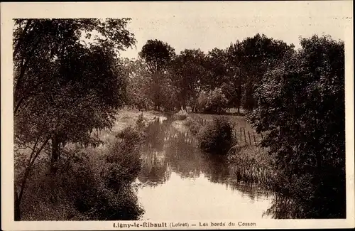 Ak Ligny le Ribault Loiret, Les bords du Cosson