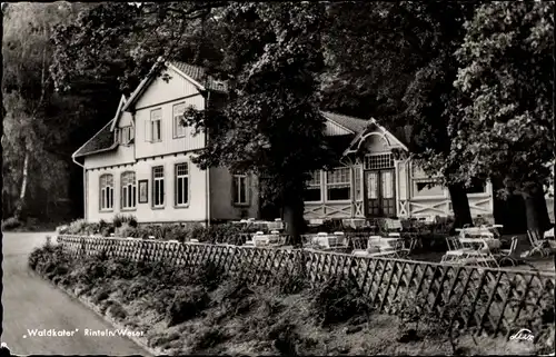 Ak Rinteln an der Weser, Gasthof Waldkater