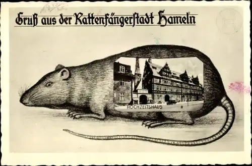 Ratten Ak Hameln, Blick auf das Hochzeitshaus, Ratte