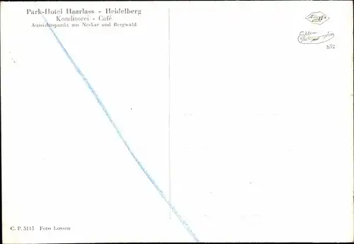 Ak Heidelberg am Neckar, Park Hotel Haarlass, Dampfer, Talblick