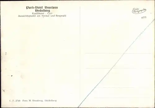 Ak Heidelberg am Neckar, Park Hotel Haarlass, Neckar, Bergwald