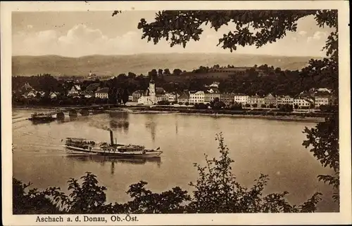 Ak Aschach Donau Oberösterreich, Blick auf den Ort, Salondampfer