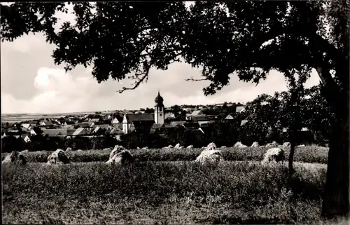 Ak Großrinderfeld in Tauberfranken, Panorama