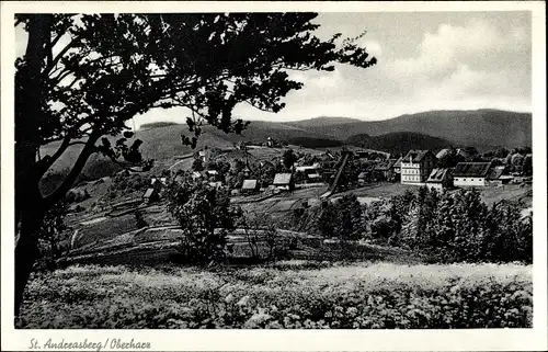 Ak Sankt Andreasberg Braunlage im Oberharz, Teilansicht