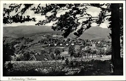 Ak Sankt Andreasberg Braunlage im Oberharz, Teilansicht