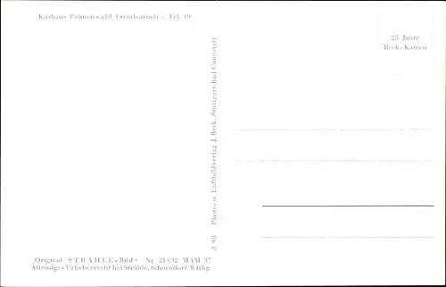 Ak Freudenstadt im Nordschwarzwald, Kurhaus Palmenwald, Fliegeraufnahme, Ort