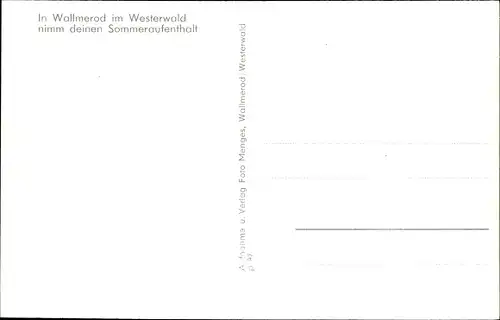 Ak Wallmerod Westerwald, Dorfstraße, Haus am Waldesrand, Panorama