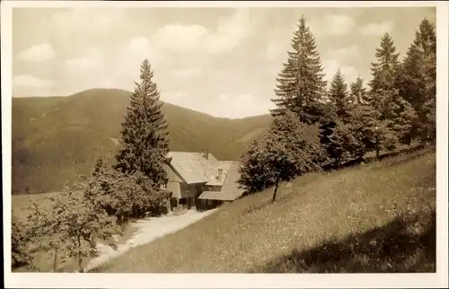 Ak Kernhof Wolfach im Schwarzwald, Gasthof, Berge, Wald